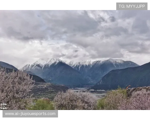 林芝足球球星成长之路与家乡文化力量的深度融合故事